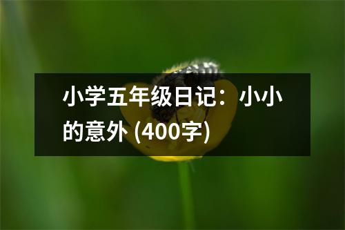 小學(xué)五年級日記：小小的意外 (400字)