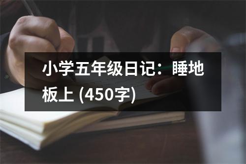 小學(xué)五年級(jí)日記：睡地板上 (450字)
