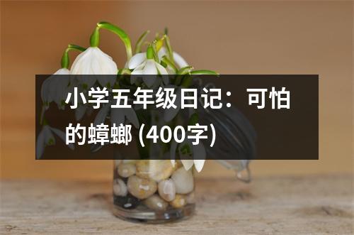 小學五年級日記：可怕的蟑螂 (400字)