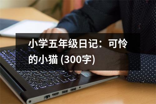 小學(xué)五年級(jí)日記：可憐的小貓 (300字)