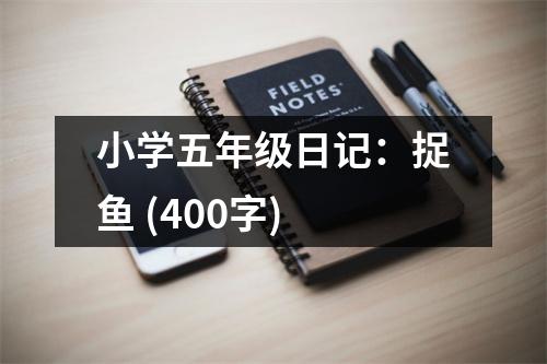 小學(xué)五年級(jí)日記：捉魚(yú) (400字)