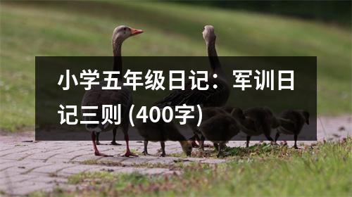 小學(xué)五年級日記：軍訓(xùn)日記三則 (400字)