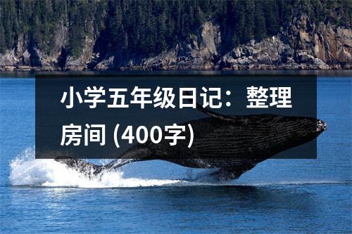 小學(xué)五年級(jí)日記：整理房間 (400字)