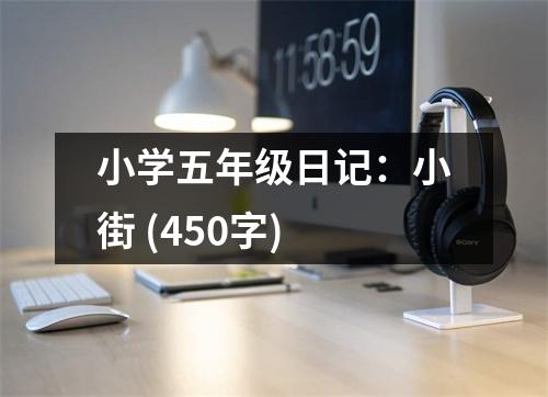 小學(xué)五年級(jí)日記：小街 (450字)