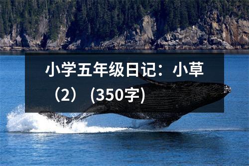 小學五年級日記：小草（2） (350字)