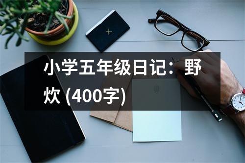 小學(xué)五年級(jí)日記：野炊 (400字)