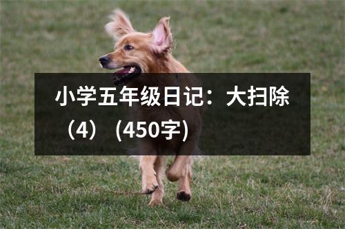 小學(xué)五年級(jí)日記：大掃除（4） (450字)