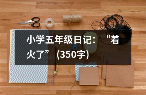小學(xué)五年級(jí)日記：“著火了” (350字)