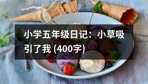 小學(xué)五年級(jí)日記：小草吸引了我 (400字)