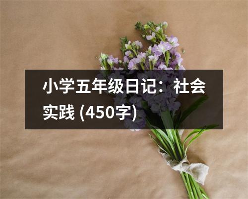 小學(xué)五年級日記：社會實踐 (450字)