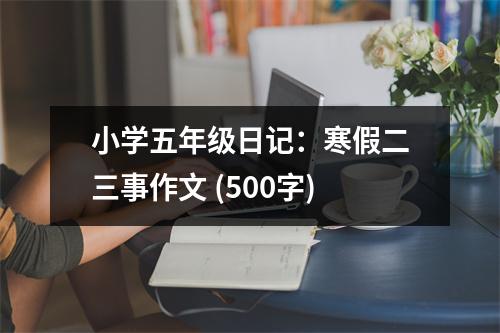 小學(xué)五年級日記：寒假二三事作文 (500字)