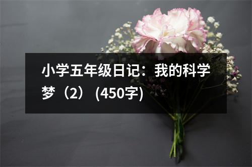 小學(xué)五年級(jí)日記：我的科學(xué)夢(mèng)（2） (450字)