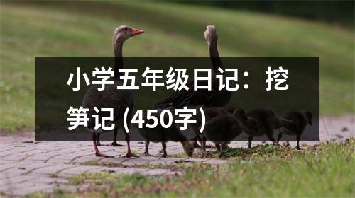 小學五年級日記：挖筍記 (450字)