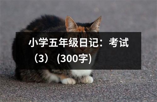 小學五年級日記：考試（3） (300字)