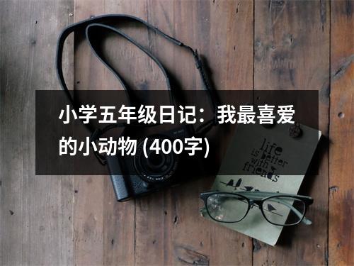 小學五年級日記：我最喜愛的小動物 (400字)