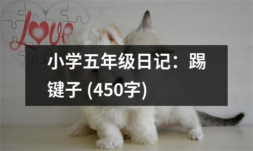小學(xué)五年級日記：踢鍵子 (450字)