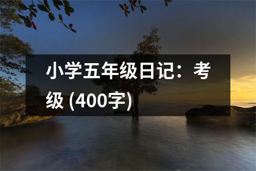 小學(xué)五年級(jí)日記：考級(jí) (400字)