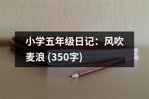 小學(xué)五年級(jí)日記：風(fēng)吹麥浪 (350字)