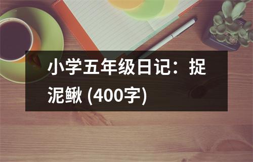 小學(xué)五年級日記：捉泥鰍 (400字)