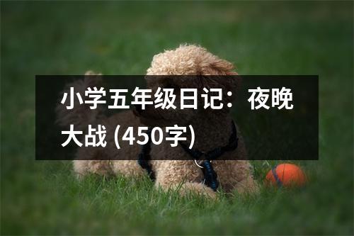 小學五年級日記：夜晚大戰(zhàn) (450字)