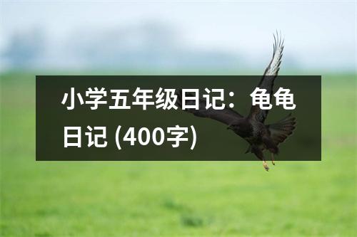 小學(xué)五年級(jí)日記：龜龜日記 (400字)