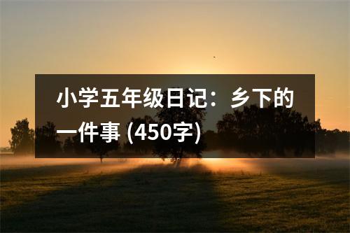 小學(xué)五年級日記：鄉(xiāng)下的一件事 (450字)