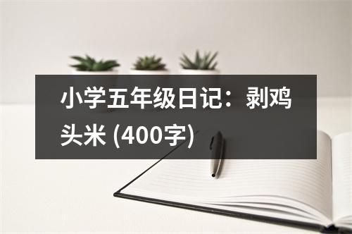 小學(xué)五年級日記：剝雞頭米 (400字)