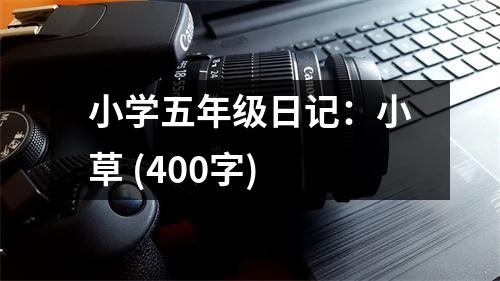 小學(xué)五年級(jí)日記：小草 (400字)