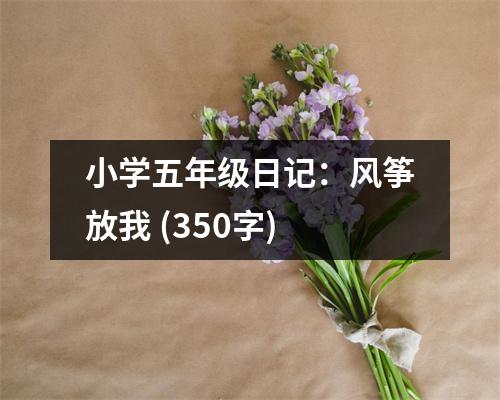 小學(xué)五年級日記：風(fēng)箏放我 (350字)