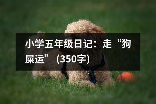 小學五年級日記：走“狗屎運” (350字)