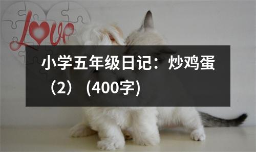 小學五年級日記：炒雞蛋（2） (400字)