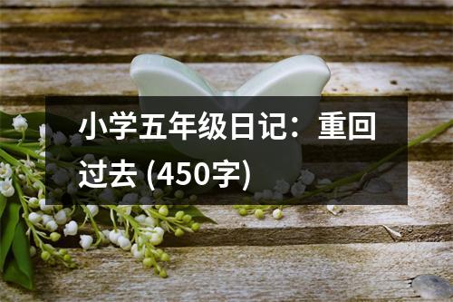 小學(xué)五年級(jí)日記：重回過(guò)去 (450字)