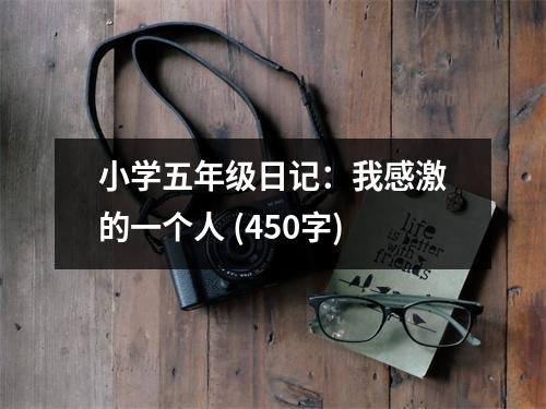 小學(xué)五年級(jí)日記：我感激的一個(gè)人 (450字)