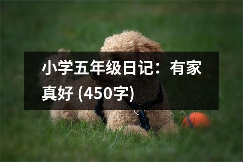 小學五年級日記：有家真好 (450字)