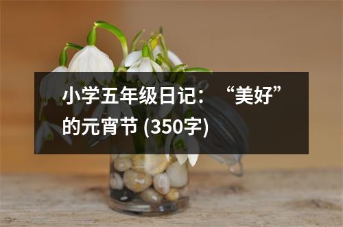 小學(xué)五年級(jí)日記：“美好”的元宵節(jié) (350字)