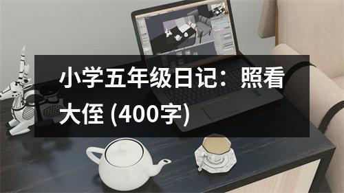 小學(xué)五年級(jí)日記：照看大侄 (400字)