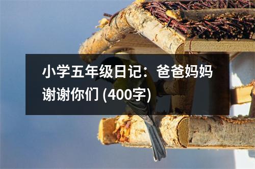 小學(xué)五年級日記：爸爸媽媽謝謝你們 (400字)