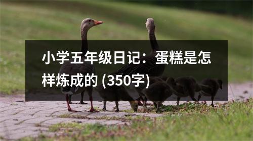 小學(xué)五年級日記：蛋糕是怎樣煉成的 (350字)