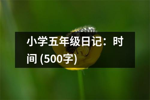 小學(xué)五年級日記：時間 (500字)