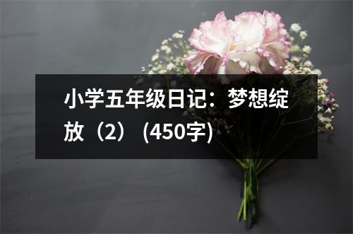 小學(xué)五年級(jí)日記：夢(mèng)想綻放（2） (450字)