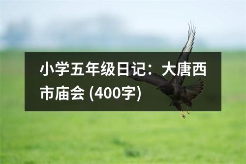 小學(xué)五年級日記：大唐西市廟會 (400字)