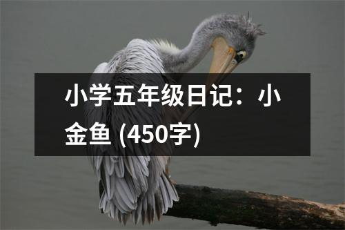 小學(xué)五年級日記：小金魚 (450字)