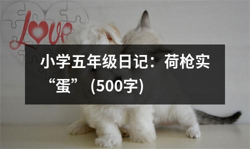 小學(xué)五年級日記：荷槍實(shí)“蛋” (500字)