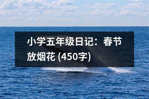小學(xué)五年級(jí)日記：春節(jié)放煙花 (450字)