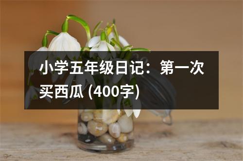 小學(xué)五年級日記：第一次買西瓜 (400字)