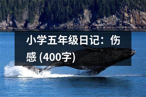 小學(xué)五年級日記：傷感 (400字)