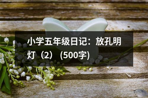 小學(xué)五年級(jí)日記：放孔明燈（2） (500字)