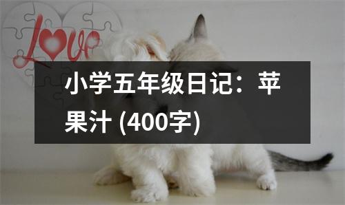 小學(xué)五年級日記：蘋果汁 (400字)