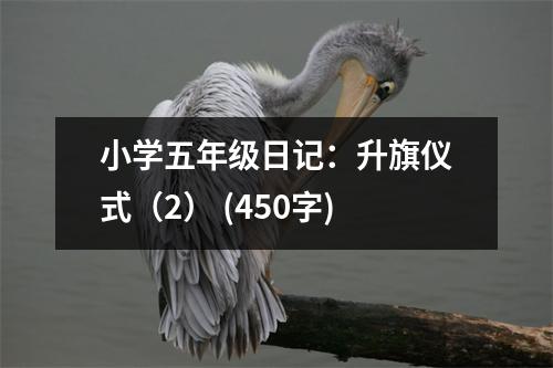 小學(xué)五年級日記：升旗儀式（2） (450字)