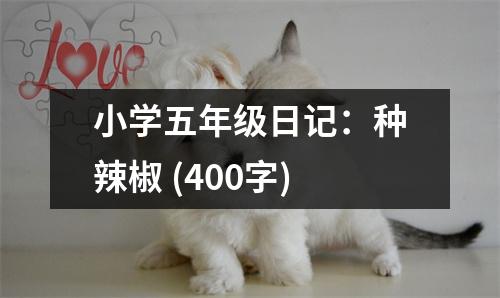 小學(xué)五年級(jí)日記：種辣椒 (400字)